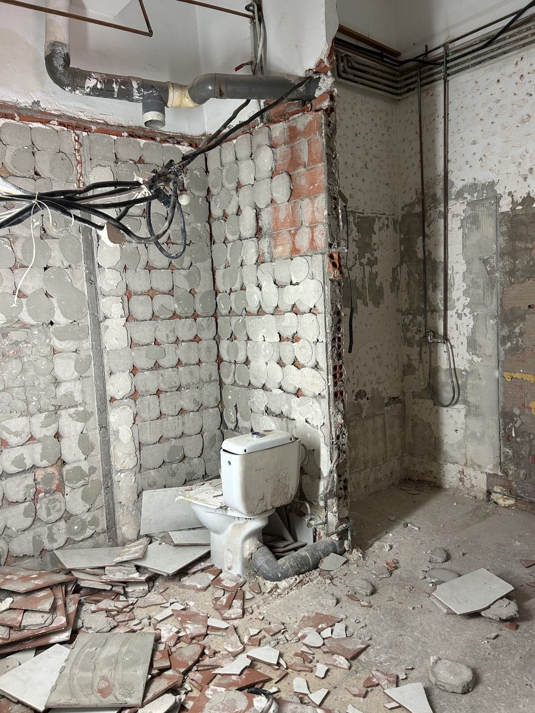 Baño demolido hasta el ladrillo, con instalaciones a la vista